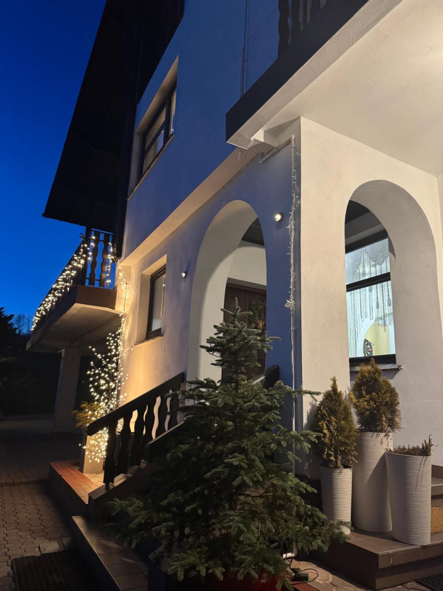 Villa Beskidzka 100 - Sauna & Balia Z Jacuzzi Widok Na Gory I Jezioro Zywieckie Zarzecze  Exterior foto